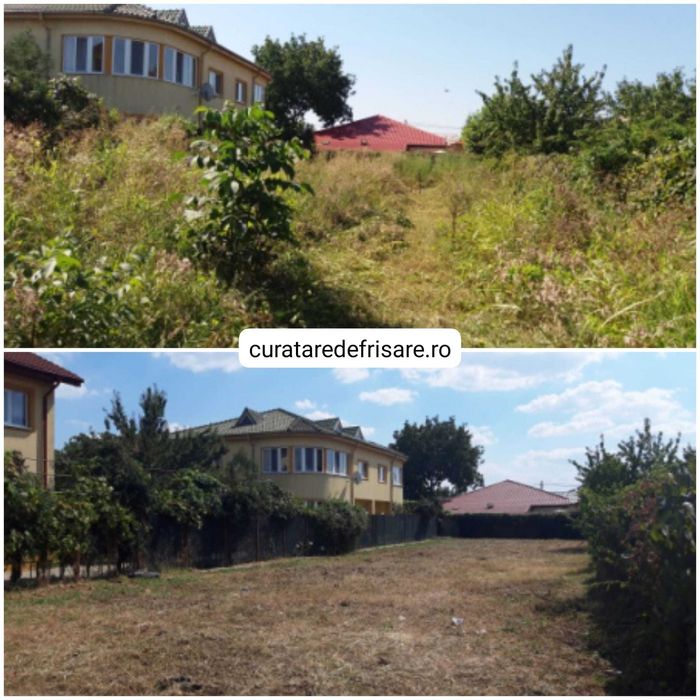 Curatare teren, cosire si tocare vegetatie, tocare arbusti, erbicidare