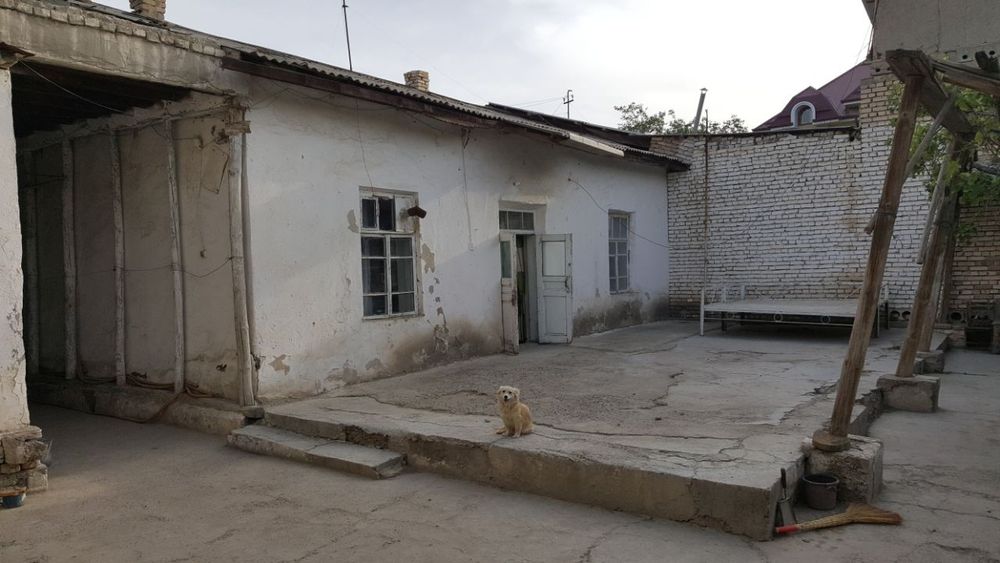 Yer ushastkasi hovli