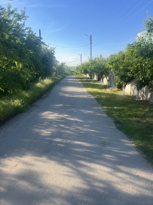 Teren intravilan Pielesti