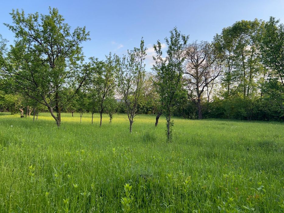 Teren de vânzare Brebu cartier vile 48€/mp