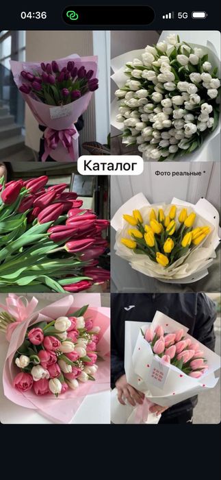 ТЮЛЬПАНЫ оптом и в розницу