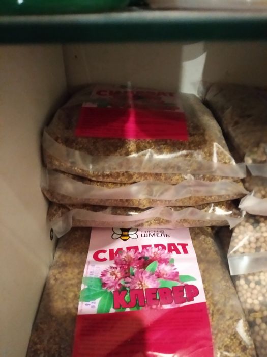 Сидераты для улучшения состава почвы.