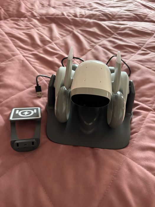 Продам Loona Robot