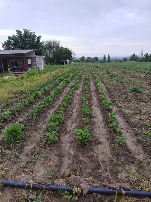 Продается участок земли ИЖС