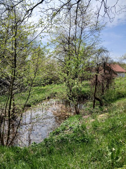 Casă la munte cu pârâu în curte,în localitatea  Nojag.la 18 km.de DEVA