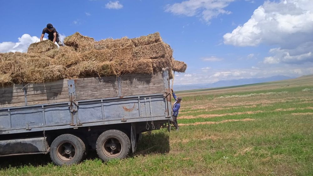 Камаз 5320/kamaz 5320