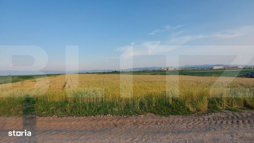 Teren arabil 9.000 mp in Moacsa – investitie intr-o zona agricola cu
