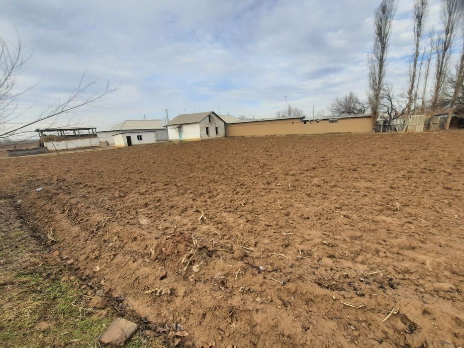 Xovli uy sotiladi Yangi turmush istiqlol mfy da