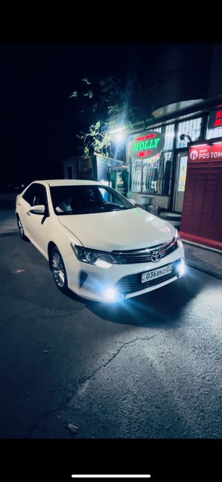 Трезвый водитель