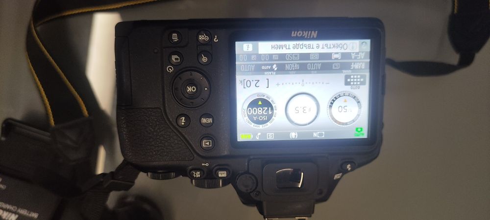 Фотоапарат Nikon D3500