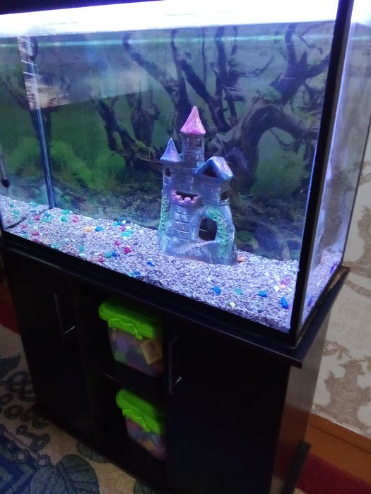 Аквариум с подставкой