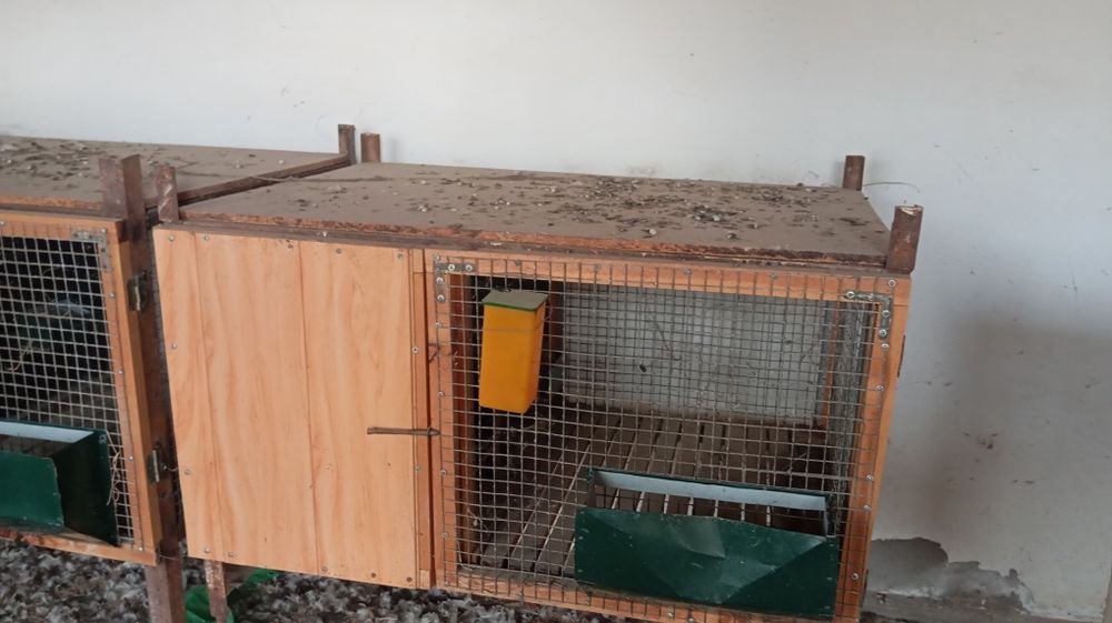 Вольер сотилади куен ва товук учун