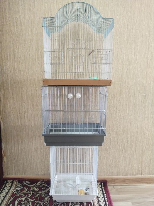 Кафаслар сотилади 3 дона.