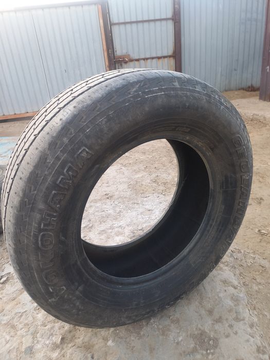 Покрышка летнее бир сезон бушный