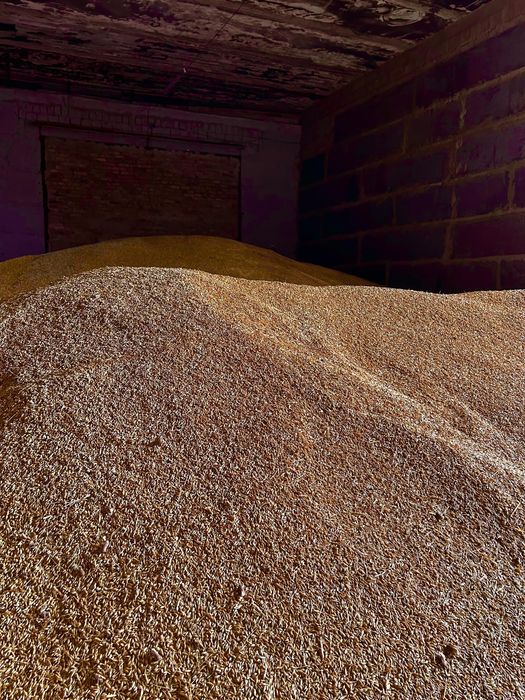 Ячмень в городе оптом Арпа в мешках 40кг