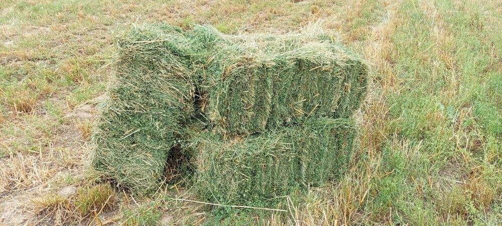 Беда пресс 3 урим САМОВЫВОЗ