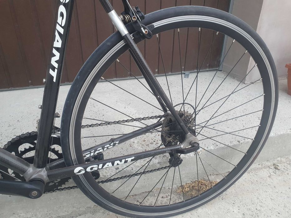 Cursiera carbon 55cm giant cadex