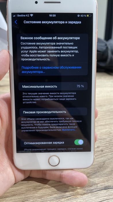 iPhone 8 Plus идеал