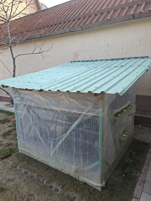 Срочно! Кора шахзода товуклар ва катак