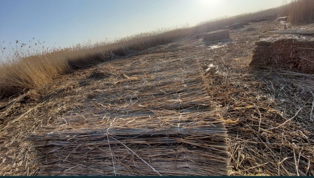 Камыс камыш маты