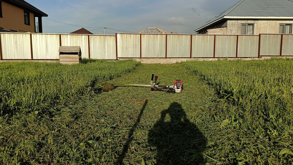 Косим траву, Газон