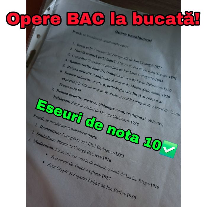 Eseuri Bacalaureat de nota 10