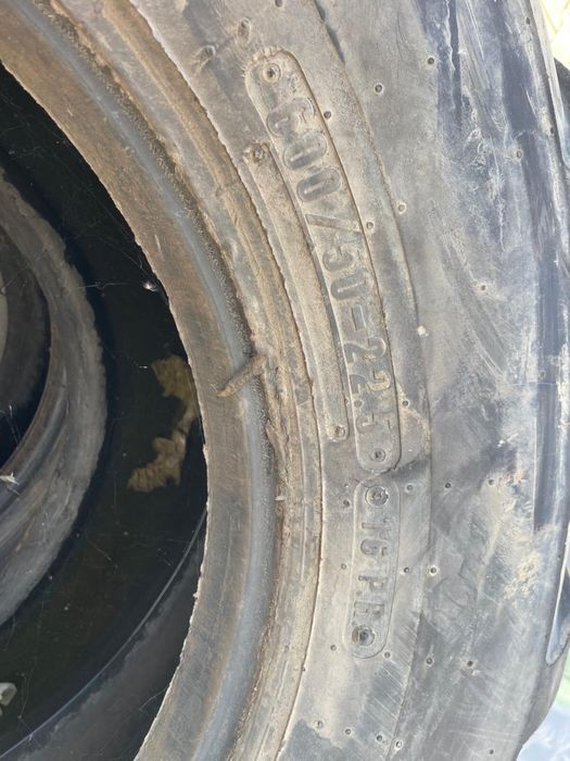 cuciucuri de vanzare