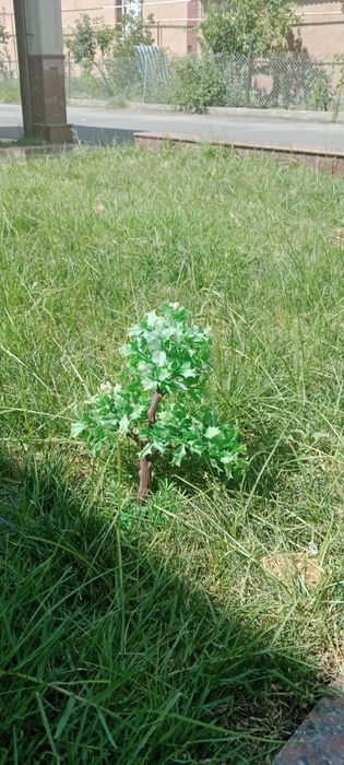 Украшения для аквариума цена договорная