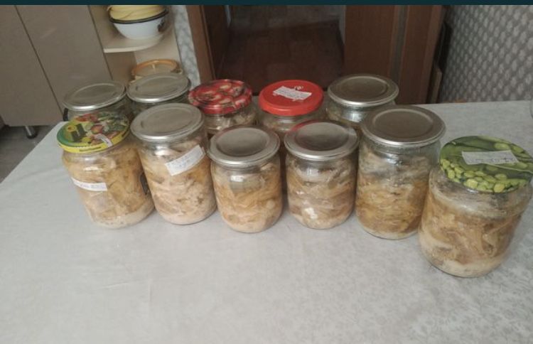 Сделаю мясные и рыбные консервы