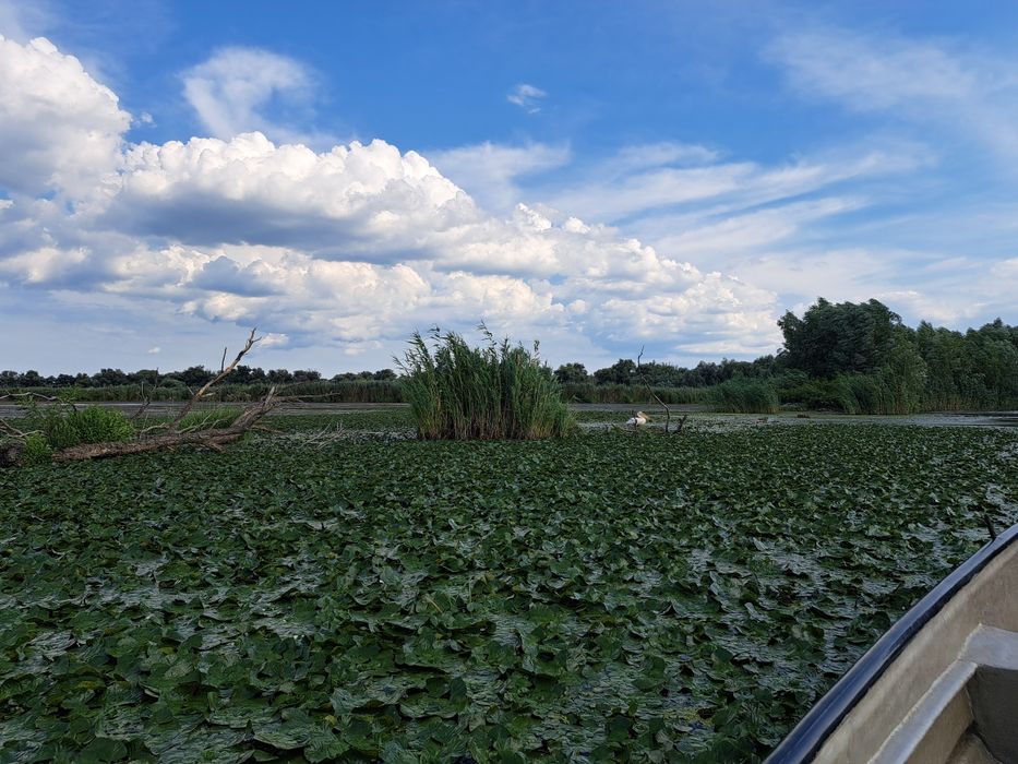 Inchiriere barci, excursii si transport pescari in Delta Dunarii,Dunavatu de Jos