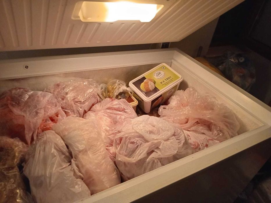 Vând lada frigorifica Zanussi