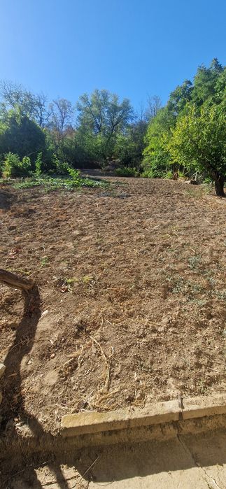 Къща с..Ветрен на 300м от Дунав