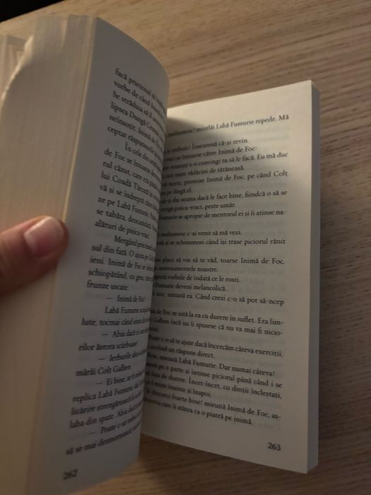 Pisicile războinice, vol. 2 – Foc și gheață, Erin Hunter