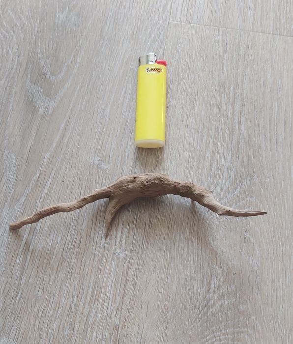 Коряжки аквариумные