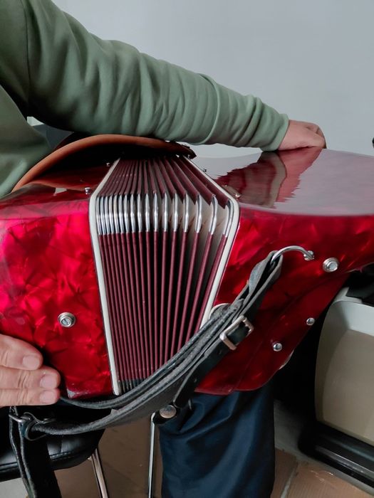 Vand Acordeon Parrot gama profesionala