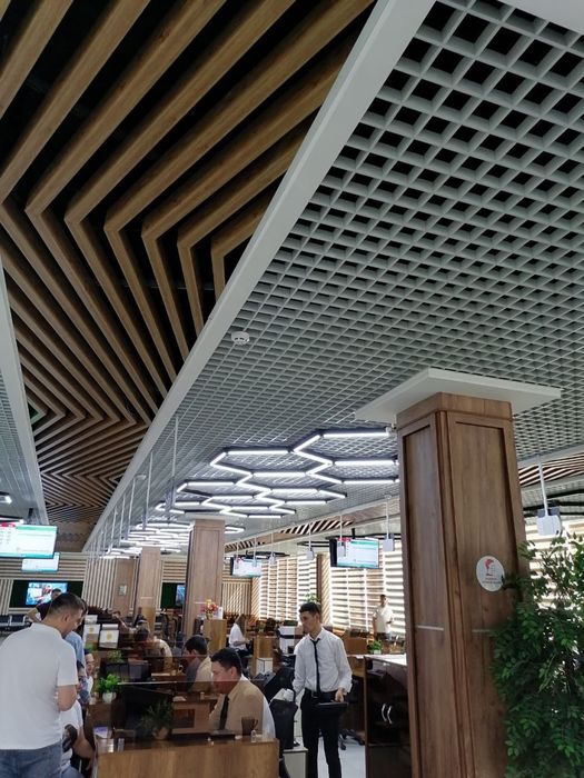 Grilyato Reychniy  rechniy armstrong подвесные потолки