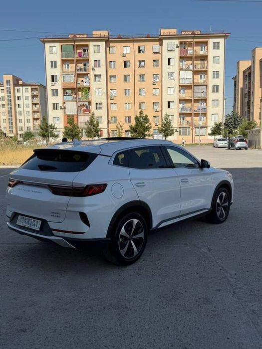 Byd song plus GIBRID 2023 yil oq toza