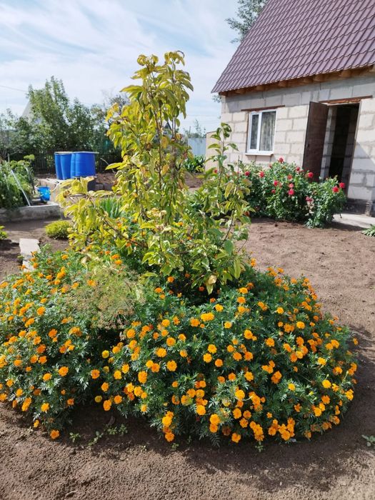 Продам ухоженую дачу на Федоровке