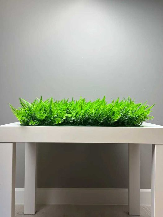 Самшитовый коврик для фитостены 60×40 см