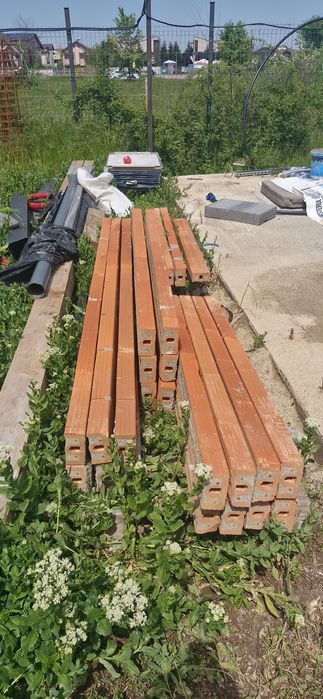Buiandrugi diferite dimensiuni