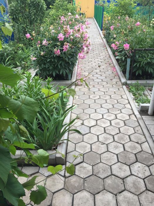 ПРОДАМ ДАЧУ. Садовое общество «Дорожник»