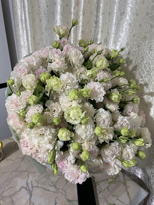 Продам цветы 50 тыс