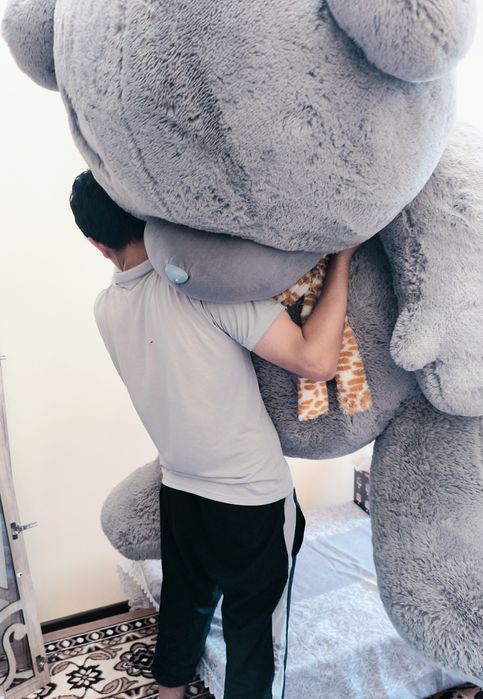 Teddy ayiq eng kattasi