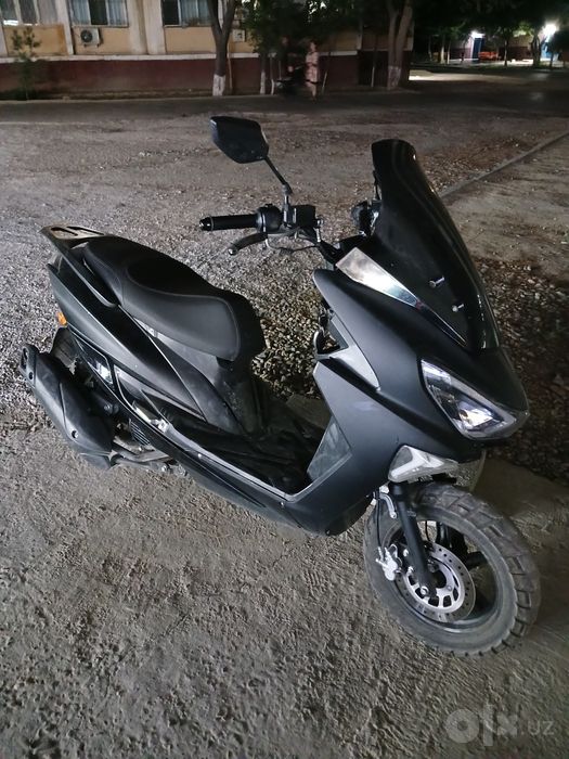 Bonvi tayger 2025
