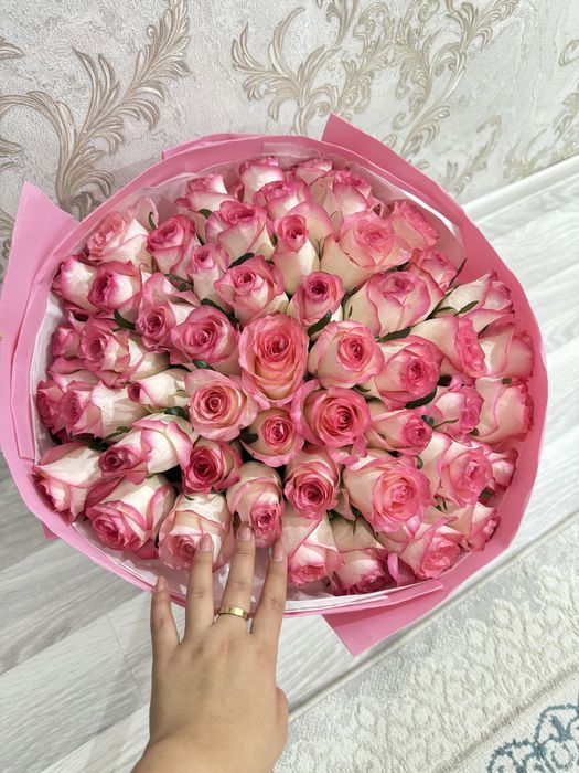 Розывые розы 51штук