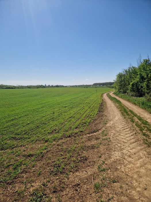 Direct Proprietar