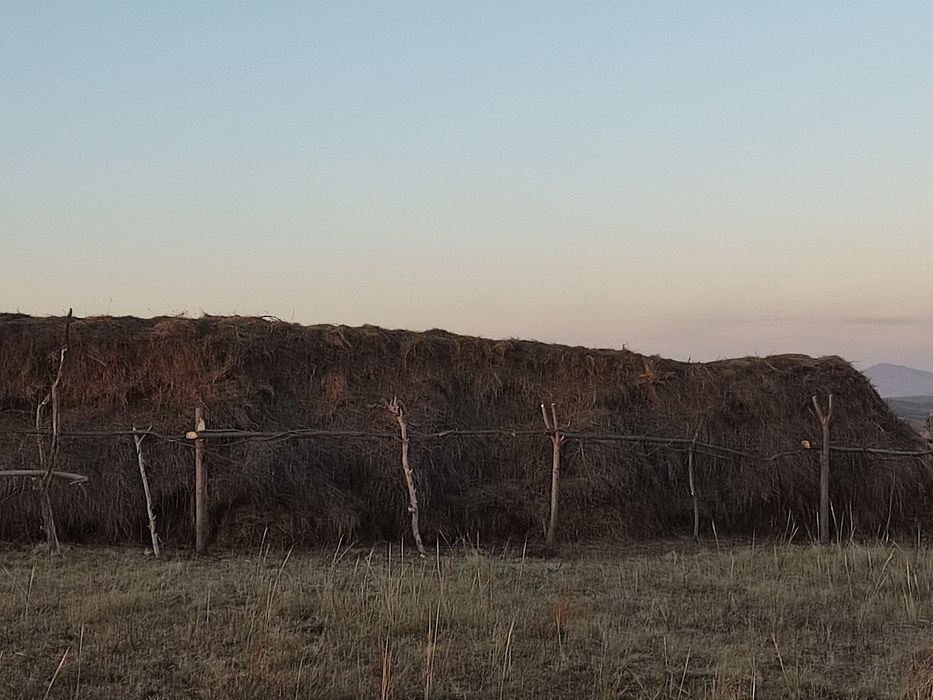 Продам Сено россыпной