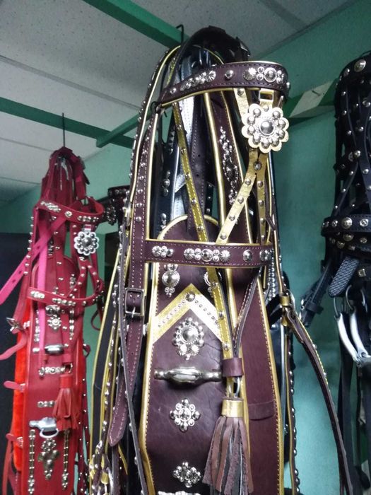 Упряжь парадная для лошади