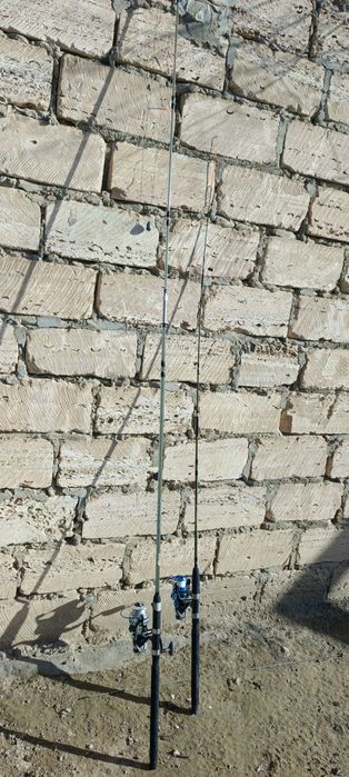 Дайын қалмақтар сатылады