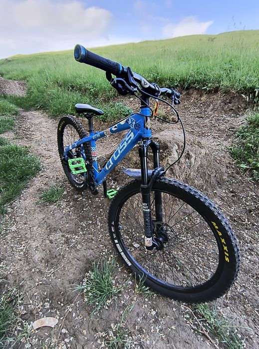 Cross dexter modificat